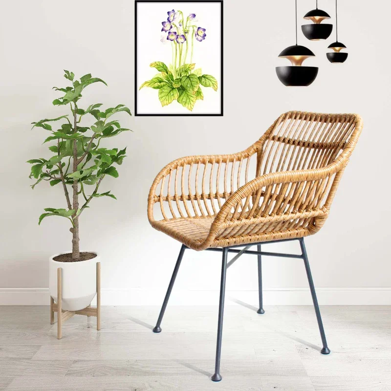 Nordic Dining Chairs for Kitch – обзор и цена Outdoor Furniture Kitchener